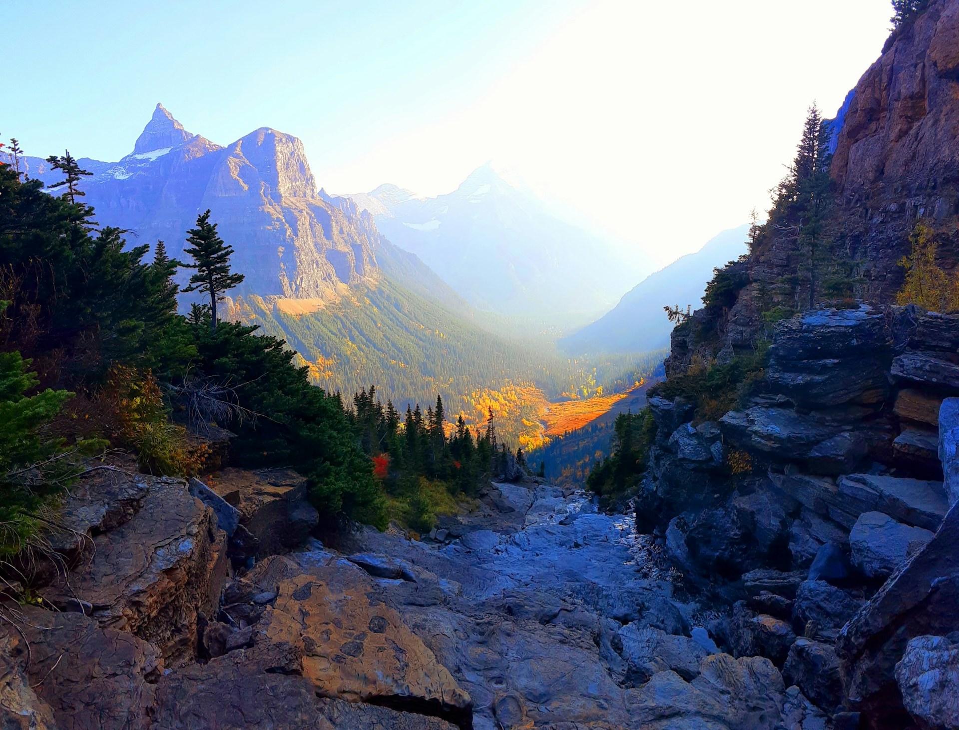 Things to Do in West Glacier in the Fall: Hikes, Drives & Local Tips